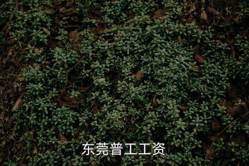 東莞潤信包裝廠普工工資，現(xiàn)在廣東東莞工廠里上班一個月能掙多少錢