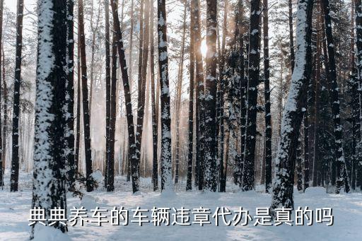 典典養車的車輛違章代辦是真的嗎
