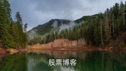 股票博客