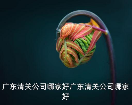 廣東清關公司哪家好廣東清關公司哪家好