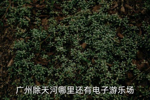 廣州除天河哪里還有電子游樂場