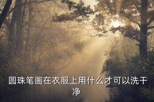 圓珠筆畫