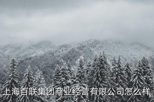 上海百聯集團商業經營有限公司怎么樣