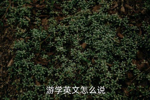 游學是什么意思,幼兒園游學是什么意思