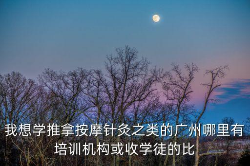 我想學推拿按摩針灸之類的廣州哪里有培訓機構(gòu)或收學徒的比