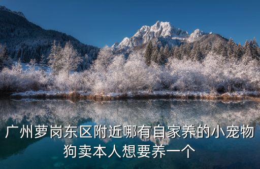 東區廣州狗，處理時間 處理地點 郵件狀態 20140308 151000 廣州市郵政速遞物流