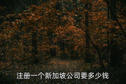 東莞口碑好的注冊新加坡公司價格，新加坡注冊公司最低多少錢