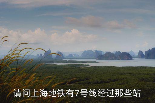 上海市7號地鐵各站點，請問上海地鐵有7號線經過那些站