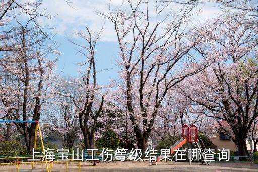上海寶山工傷等級結果在哪查詢