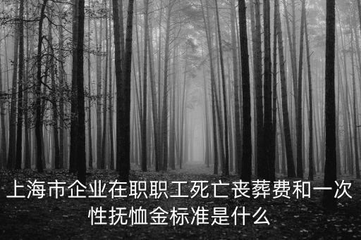 上海市企業(yè)在職職工死亡喪葬費(fèi)和一次性撫恤金標(biāo)準(zhǔn)是什么