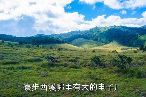 寮步西溪哪里有大的電子廠