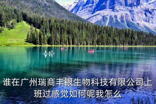 廣州 黎慧慧，廣州歐燦珠寶有限公司法定代表人是誰