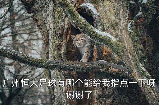廣州恒大足球有哪個能給我指點一下呀謝謝了