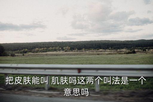 把皮膚能叫 肌膚嗎這兩個叫法是一個意思嗎