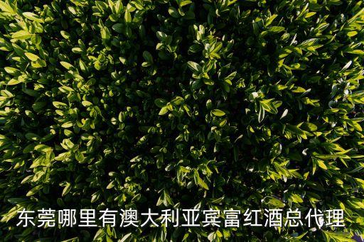 東莞哪里有澳大利亞賓富紅酒總代理