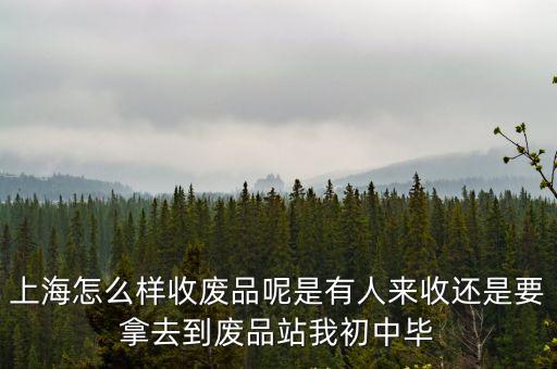 上海怎么樣收廢品呢是有人來收還是要拿去到廢品站我初中畢