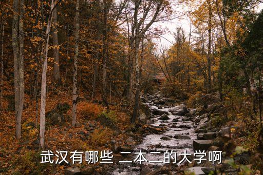 武漢有哪些 二本二的大學(xué)啊