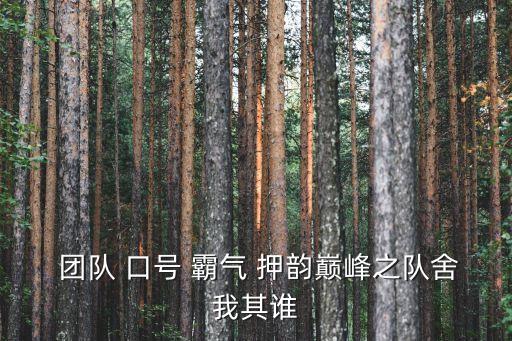  團(tuán)隊 口號 霸氣 押韻巔峰之隊舍我其誰