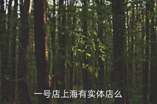 一號店上海有實體店么