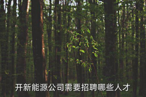 深圳市金賽爾新能源有限公司招聘，開新能源公司需要招聘哪些人才