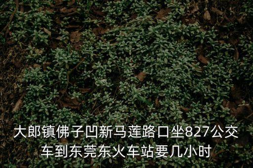 大郎鎮佛子凹新馬蓮路口坐827公交車到東莞東火車站要幾小時