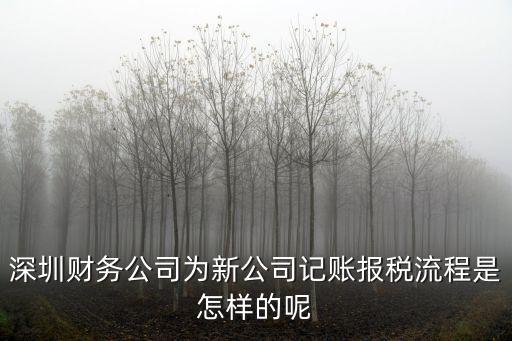 深圳財(cái)務(wù)公司為新公司記賬報(bào)稅流程是怎樣的呢