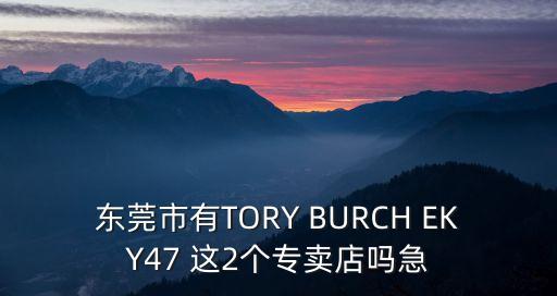 東莞市有TORY BURCH EKY47 這2個專賣店嗎急