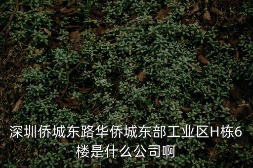 深圳僑城東路華僑城東部工業區H棟6樓是什么公司啊