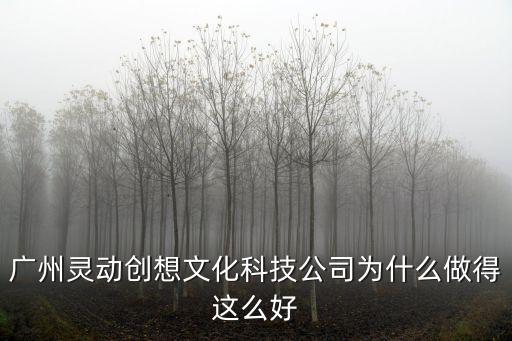 廣州靈動(dòng)創(chuàng)想謝國(guó)平，靈動(dòng)創(chuàng)想公司的現(xiàn)任董事長(zhǎng)是誰(shuí)