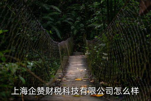 上海市財務科技有限公司怎么樣，上海哪家財務公司比較好