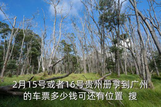 冊亨至廣州班車，2月15號或者16號貴州冊亨到廣州的車票多少錢可還有位置  搜