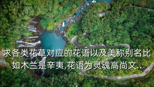 求各類花草對應的花語以及美稱別名比如木蘭是辛夷,花語為靈魂高尚文...