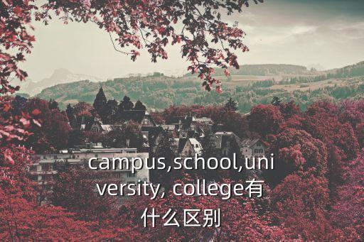 college是什么意思,massey college是什么意思