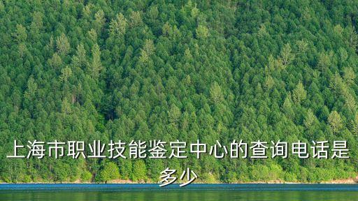 上海市職業技能鑒定中心的查詢電話是多少