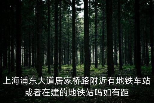 上海浦東大道居家橋路附近有地鐵車站或者在建的地鐵站嗎如有距