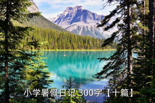  小學暑假日記 300字【十篇】