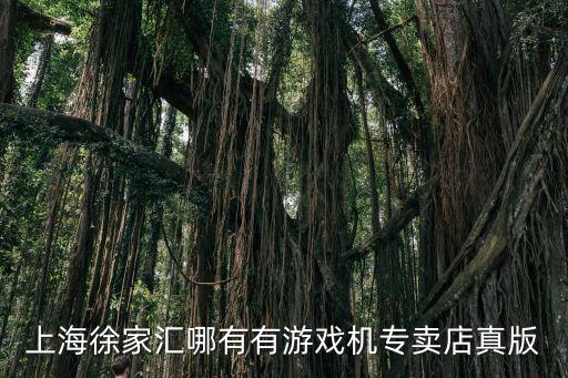 上海市游戲機專賣實體店，上海徐家匯哪有有游戲機專賣店真版
