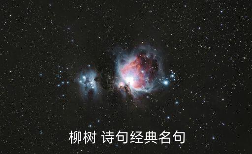  柳樹 詩句經典名句