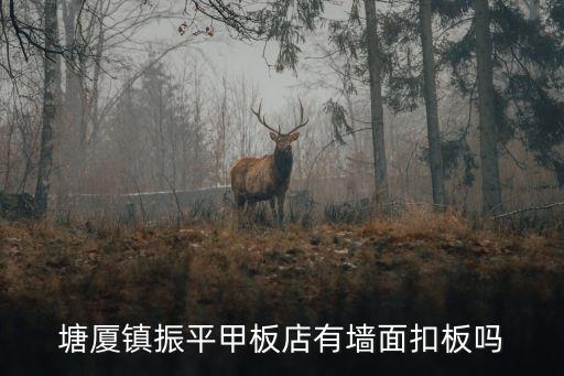 塘廈鎮振平甲板店有墻面扣板嗎