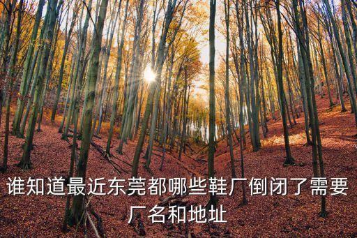 誰知道最近東莞都哪些鞋廠倒閉了需要廠名和地址
