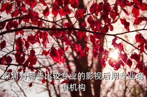 深圳的電影培訓班，深圳哪里有比較專業(yè)的影視后期培訓