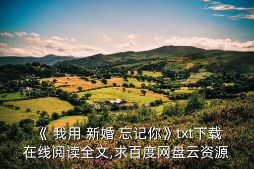 我用新婚忘記你,《我用新婚忘記你》txt最新章節(jié)免費下載