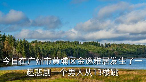 廣州黃埔綁架富豪案，今日在廣州市黃埔區(qū)金逸雅居發(fā)生了一起悲劇一個男人從13樓跳