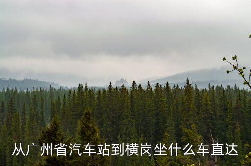 廣州到橫崗汽車票，廣州到深圳橫崗汽車票多少錢