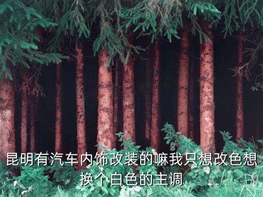 深圳萬創興，中國汽車改裝的發源地