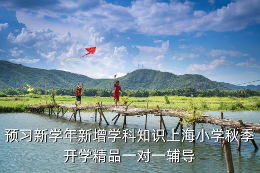 預習新學年新增學科知識上海小學秋季開學精品一對一輔導