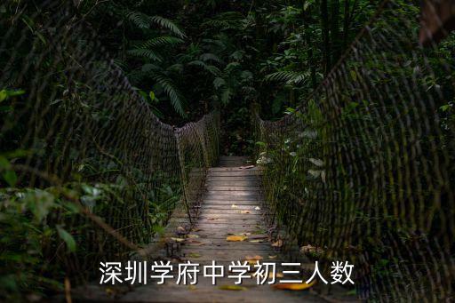 深圳學府中學初三人數(shù)