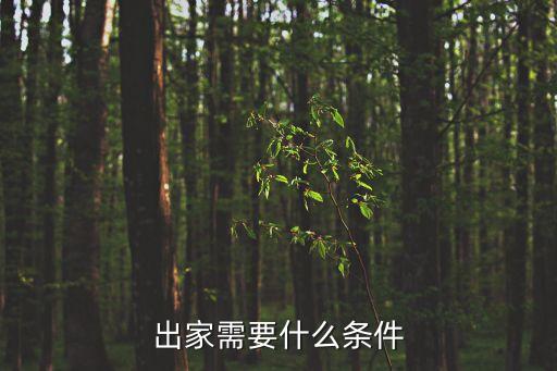 出家需要什么條件