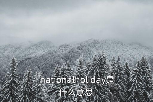  nationalholiday是什么意思