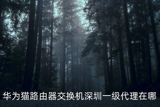 深圳華為交換機經銷商，深圳市福田區附近哪有華為專賣店